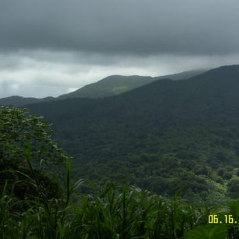 El Yunque Rainforest - Views from the tower - Hiking Near Me - Luquillo, Puerto Rico