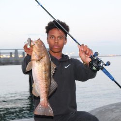 Fishing Syndicate