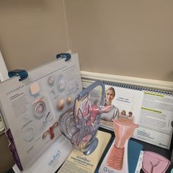 Women's Specialists of Sugar Land