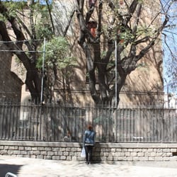 El Jardinet dels Gats