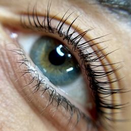 Lash lift and tint Lash lift and tint