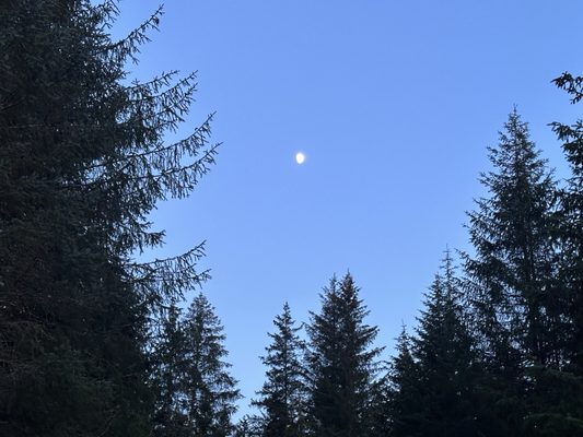 Nauti Otter Inn by null