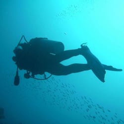 Aquatic Adventures