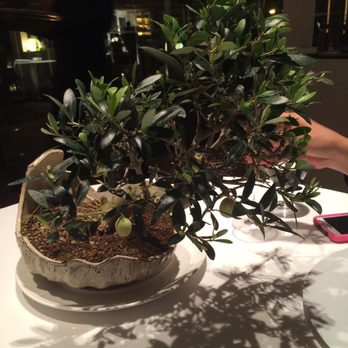 El Celler de Can Roca - Spanish Near Me - Girona, GI