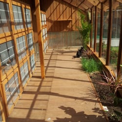 Tails-A-Waggin Dog & Cat Inn - Cat's private board walk. No dogs here!