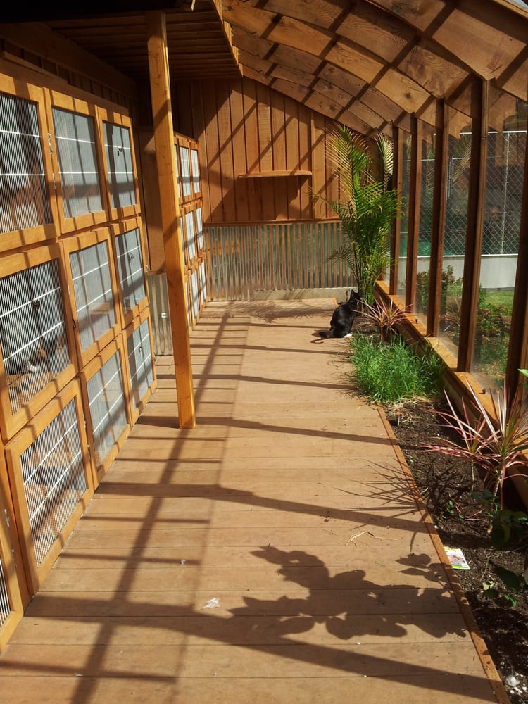 TAILSAWAGGIN DOG & CAT INN Updated October 2024 23 Photos & 106