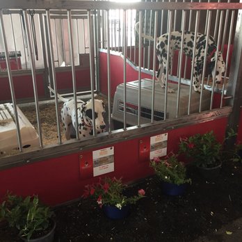 Ohio State Fair - Festivals Near Me - Columbus, Ohio