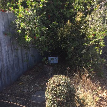OnTrac - The 3rd delivery thrown behind the bushes. - Couriers & Delivery Services Near Me - Benicia, California OnTrac - The 3rd delivery thrown behind the bushes. - Couriers & Delivery Services Near Me - Benicia, California