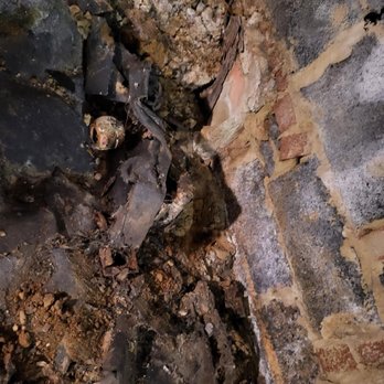 Corados Services - 87 year old - non mobile women with respiratory issue has to live through this mess! - Plumbing Near Me - Bowie, Maryland