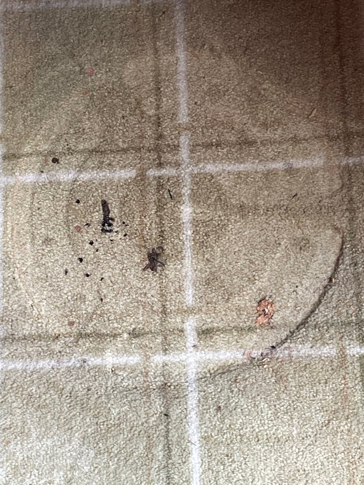 Slide of LA Cleaning & Restoration Services