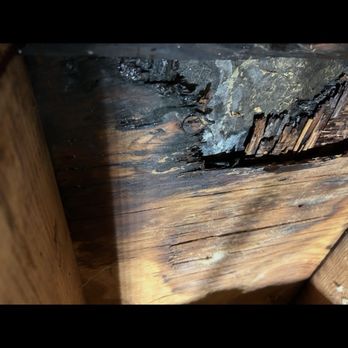A Stewart Roofing and Waterproofing - Plywood rotten from water damage- looking up at gave-way ceiling - Roofing Near Me - Bronx, New York A Stewart Roofing and Waterproofing - Plywood rotten from water damage- looking up at gave-way ceiling - Roofing Near Me - Bronx, New York