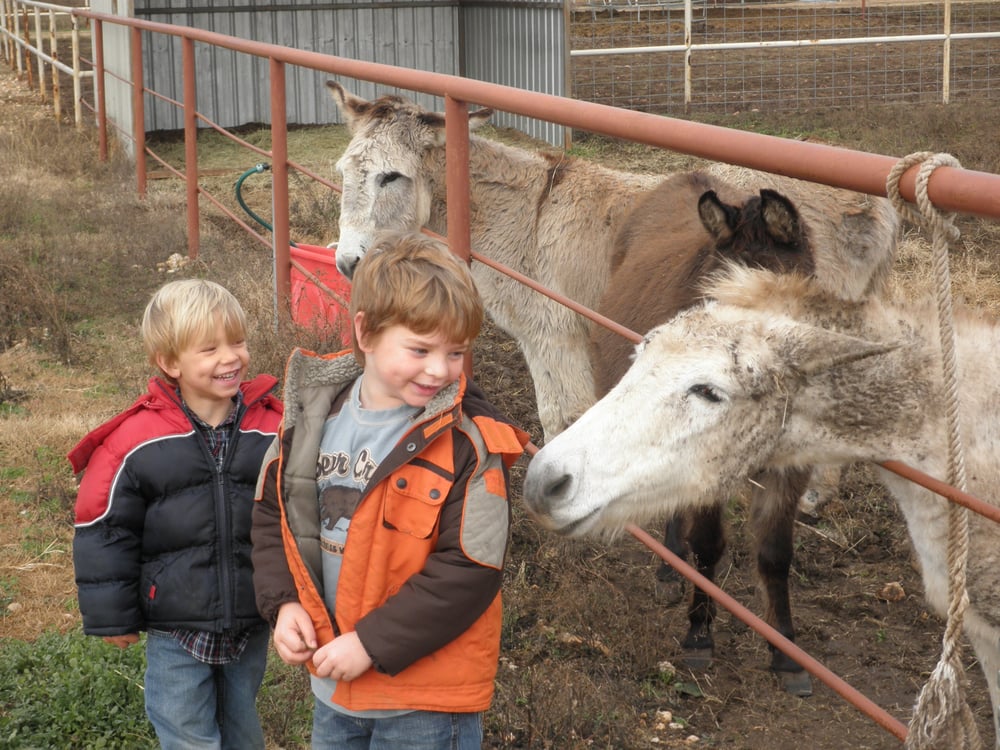 Día de los Niños Spanish Programs - childcare center in Austin, TX