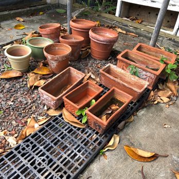 Charles Nii Nursery - Cool pots - Nurseries & Gardening Near Me - Honolulu, Hawaii