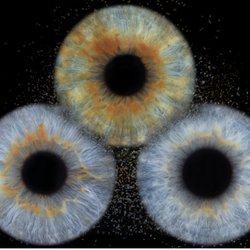 Eye Wonder - Three way collision Dad, son and daughter