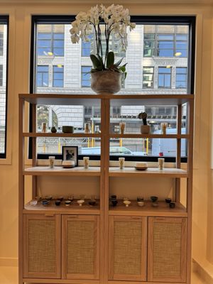 Taz Matcha & Bar by null