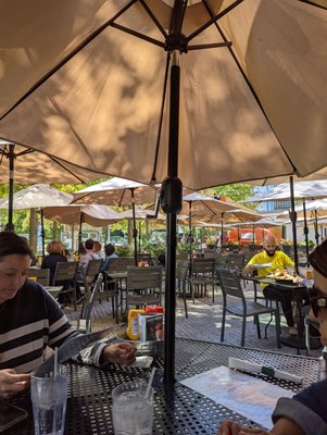 Harry Caray's Tavern, Navy Pier by null