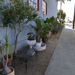 B & B Antique Hardware - Plants just outside the store
