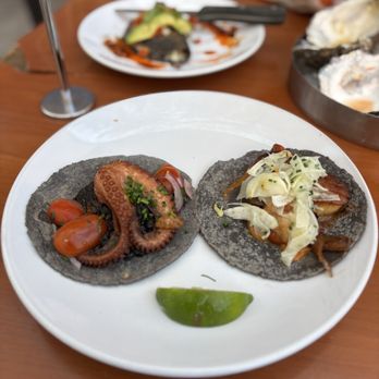 Holbox - Latin American Near Me - Los Angeles, California Holbox - Latin American Near Me - Los Angeles, California