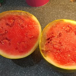 Rotting watermelon