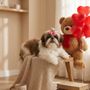 Photo of Black Velvet Shih Tzu