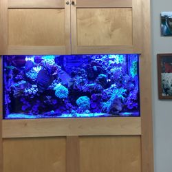 Alamance Eye Center - Fish