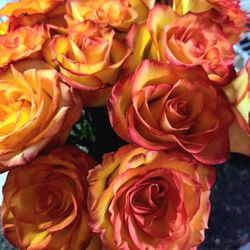 Natural Fruit & Vegetable - The most beautiful roses for Valentine's Day