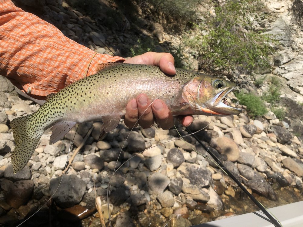 Rapid River Outfitters Logo