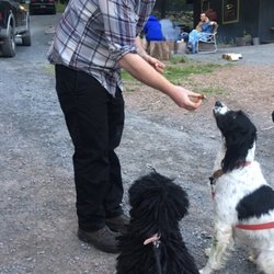 Moondog’s - Even the pups loved Moondogs!!