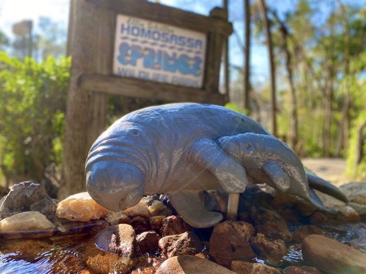 Ellie Schiller Homosassa Springs Wildlife State Park by null