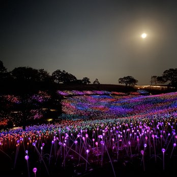 Sensorio - Full moon just added to the ambiance. - Art Galleries Near Me - Paso Robles, California