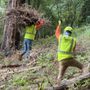 Photo of Orchard's Tree Service