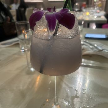 Sophusion Fine Dining - Purple Fusion - Diners Near Me - Lansdowne, Pennsylvania