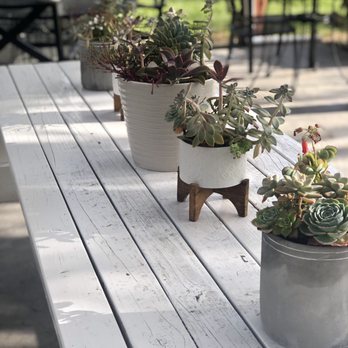 Ka Lae Coffee - Outdoor seating and succulents - Coffee & Tea Near Me - Naalehu, Hawaii Ka Lae Coffee - Outdoor seating and succulents - Coffee & Tea Near Me - Naalehu, Hawaii