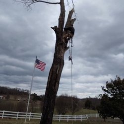 Ole' Smokey's Tree Service