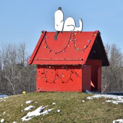 Cedar Hill Christmas Tree Farm - Snoopy