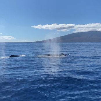 Teralani Sailing Adventures - Boating Near Me - Lahaina, Hawaii Teralani Sailing Adventures - Boating Near Me - Lahaina, Hawaii