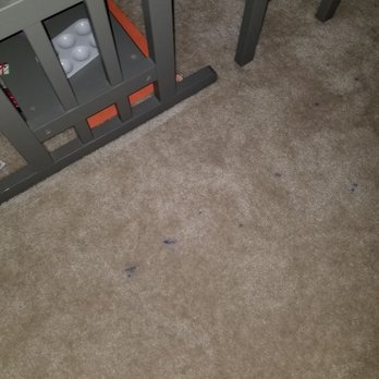 Full Steam Ahead - Carpet Cleaning Near Me - Sparks, Nevada