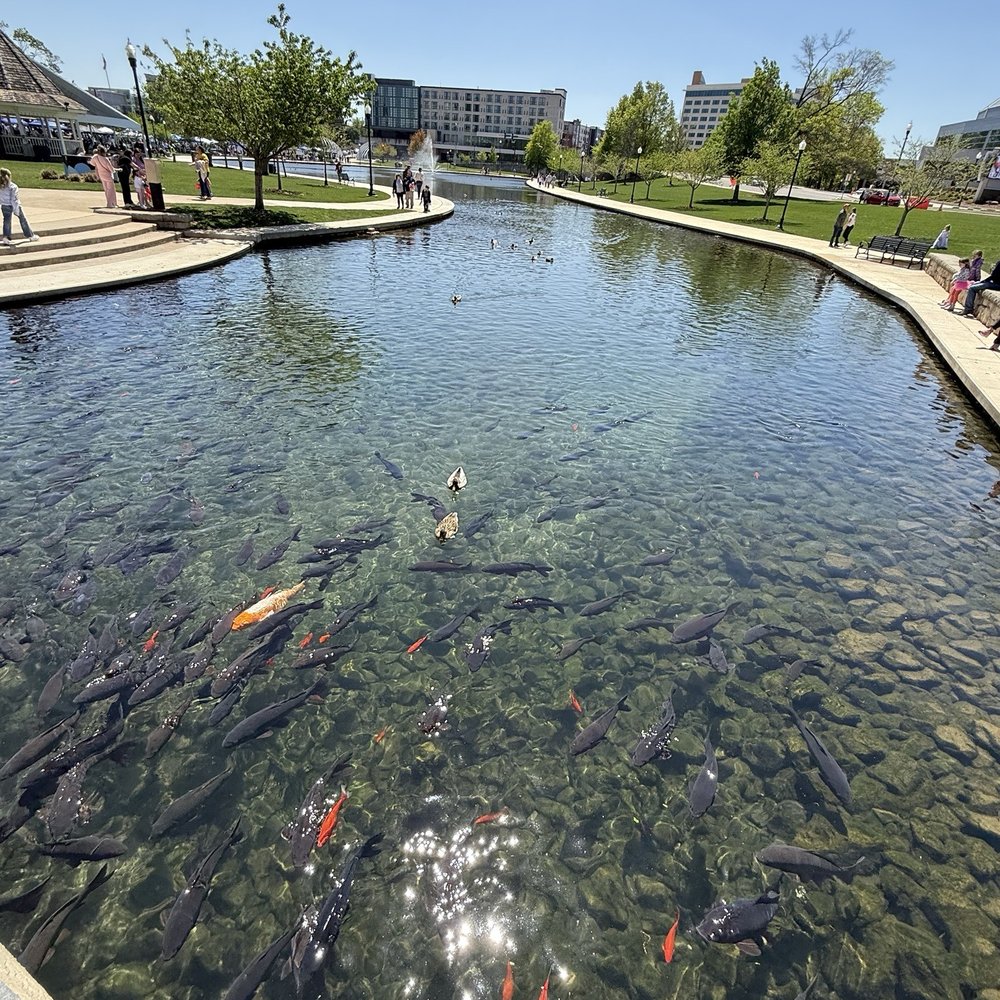 Big Spring Park - Parks Near Me - Huntsville, Alabama Big Spring Park - Parks Near Me - Huntsville, Alabama