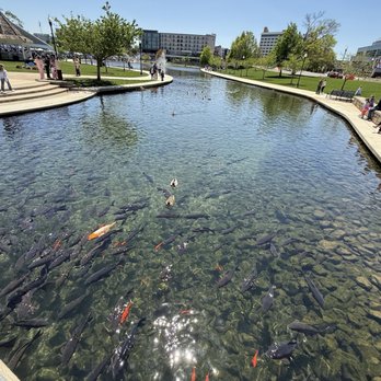 Big Spring Park - Parks Near Me - Huntsville, Alabama Big Spring Park - Parks Near Me - Huntsville, Alabama