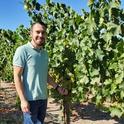 Tastings hosted by Winemaker.