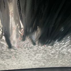 Moo Moo Express Car Wash - Huber Village