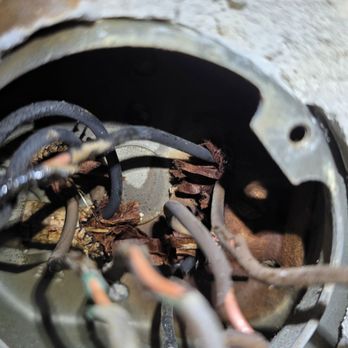 Surge Electric - Another angle of cracked insulation on nearly every cable - Electricians Near Me - Sacramento, California Surge Electric - Another angle of cracked insulation on nearly every cable - Electricians Near Me - Sacramento, California
