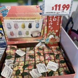 Tokyo Central Kawaii