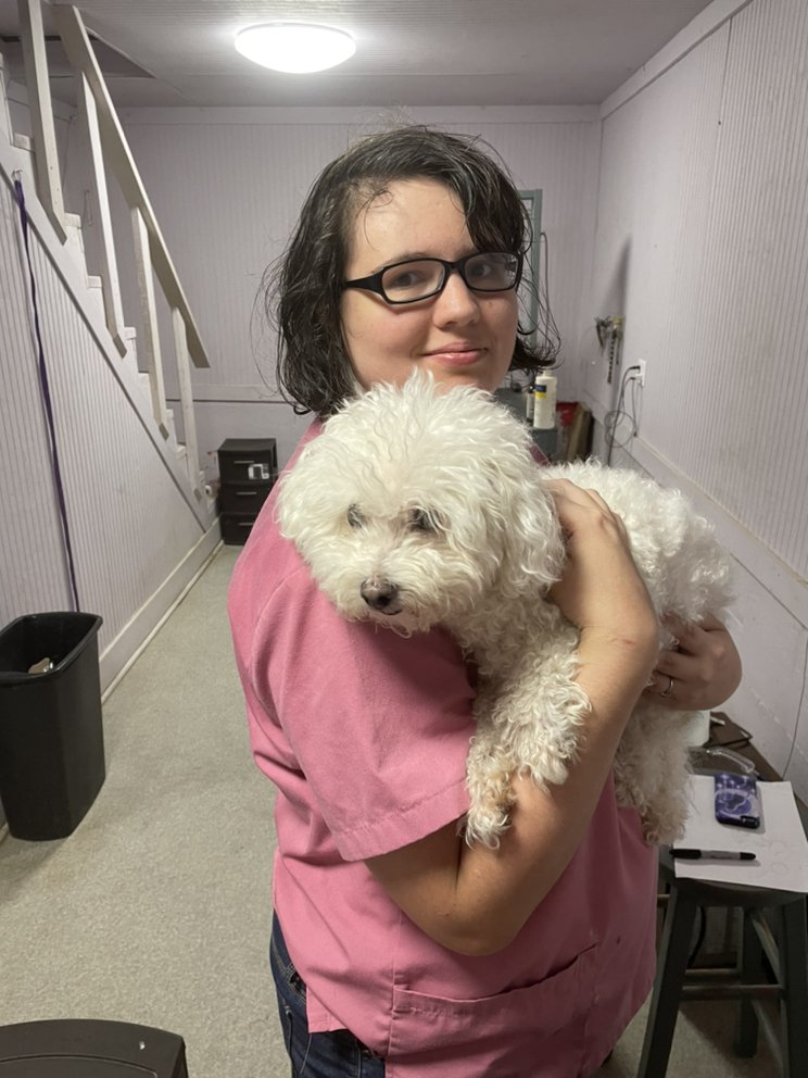 ABBY’S DOG GROOMING Updated June 2024 145 N Peachtree St, Jasper