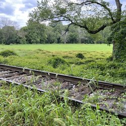 Siw Vegetables - Train tracks next to market