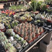 Arcadia Color Garden 2019 All You Need To Know Before Arcadia Color Garden 2019 All You Need To Know Before
