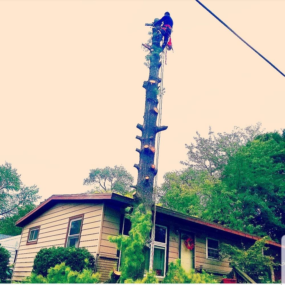 R&E Lawn Care - tree service in Grand Rapids, MI