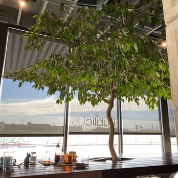 PublicUs - Coffee & Tea Near Me - Las Vegas, Nevada PublicUs - Coffee & Tea Near Me - Las Vegas, Nevada