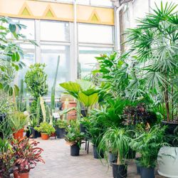 Gethsemane Garden Center - Winter 2021: Warm up from the cold and visit us in the greenhouse.