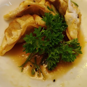 Sakari Sushi - Fried Gyoza - comes with more of them, but was so hungry ate before taking pic LOL - Japanese Near Me - Winter Park, Florida